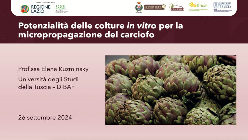 colture in vitro carciofo